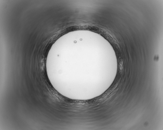 X0000099301204200805231334