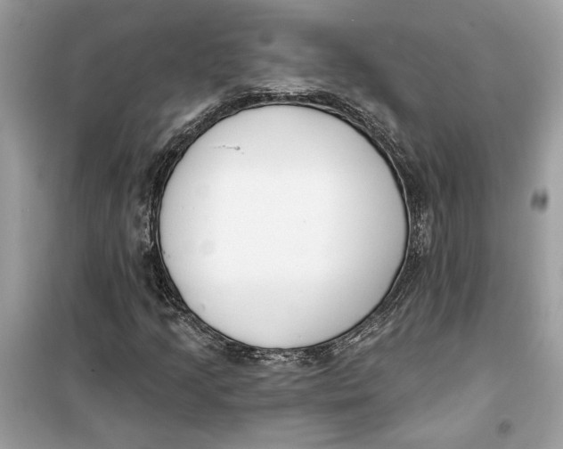 X0000099301205200805231334