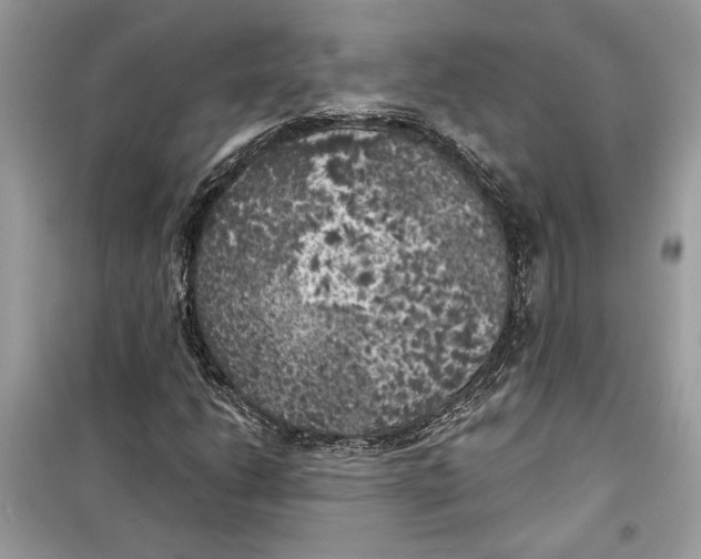 X0000099301206200805231334