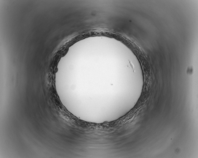 X0000099301207200805231335