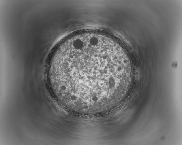 X0000099301208200805231335