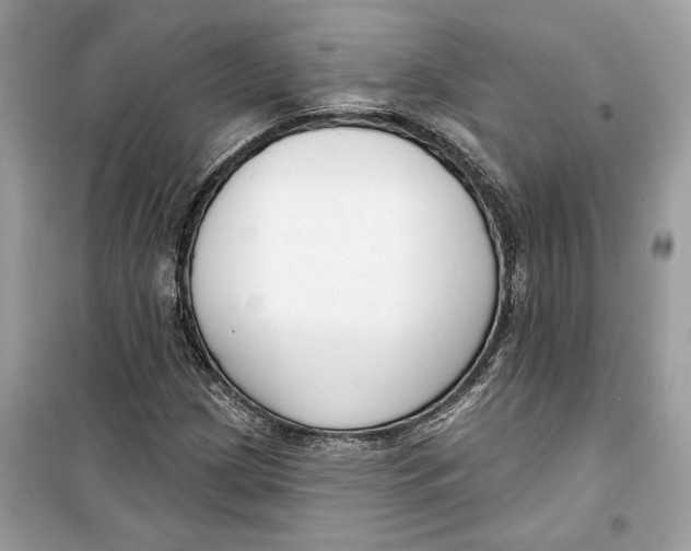 X0000099301209200805231335