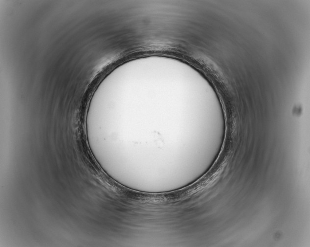 X0000099301210200805231335