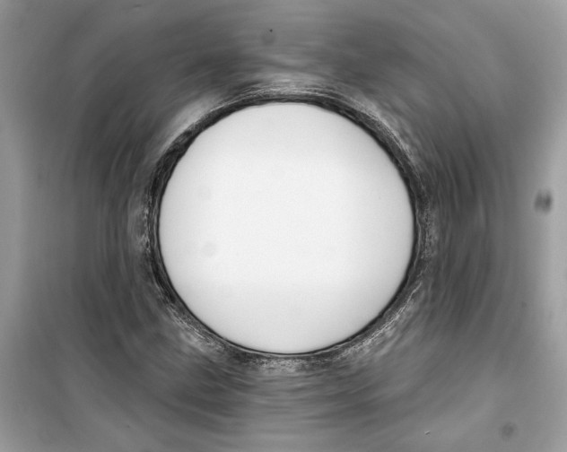 X0000099301211200805231335