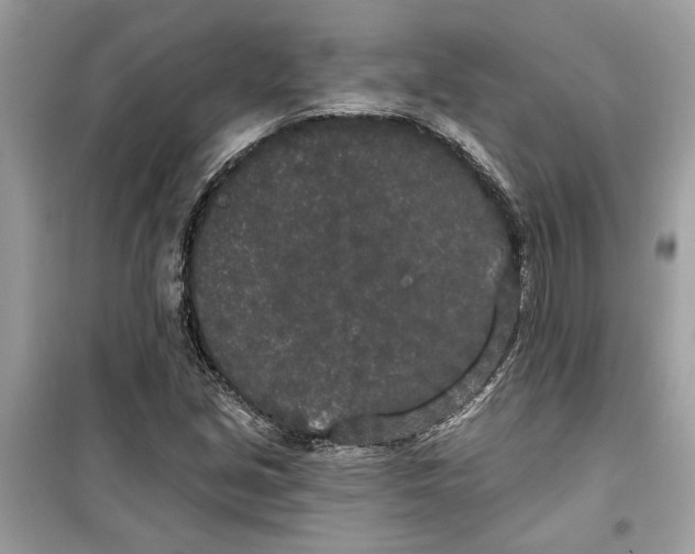 X0000099301213200805231335