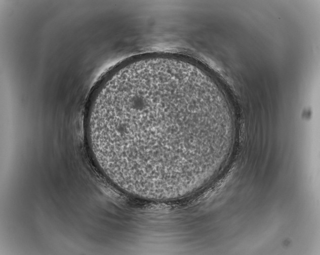 X0000099301214200805231335