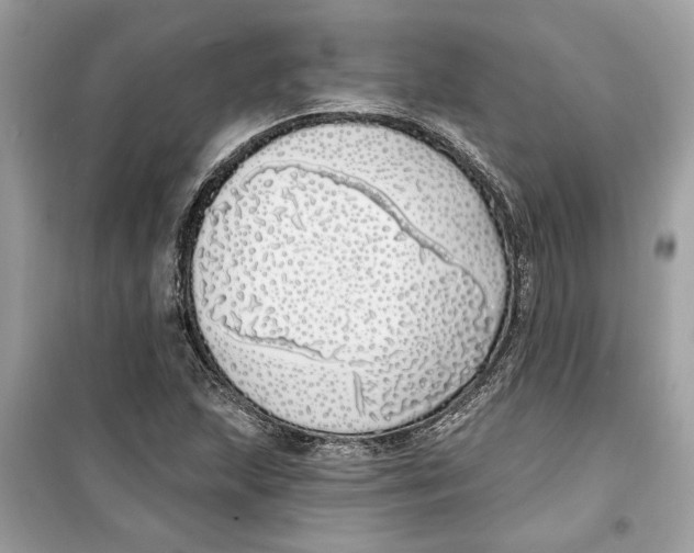 X0000099301215200805231335