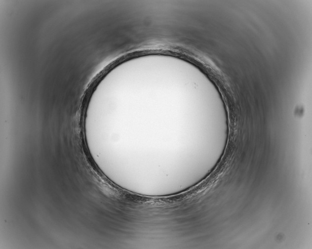 X0000099301216200805231335