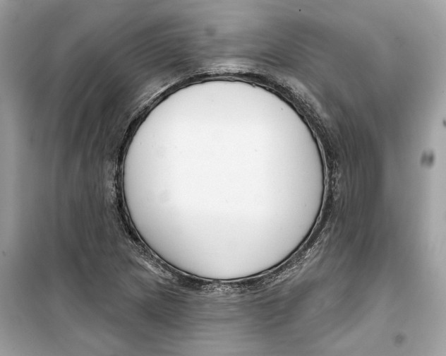 X0000099301217200805231335