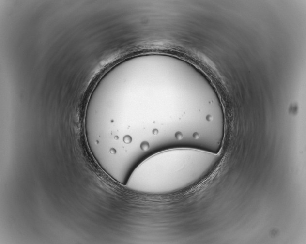 X0000099301218200805231335