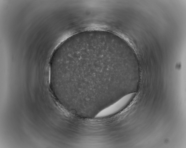 X0000099301219200805231335