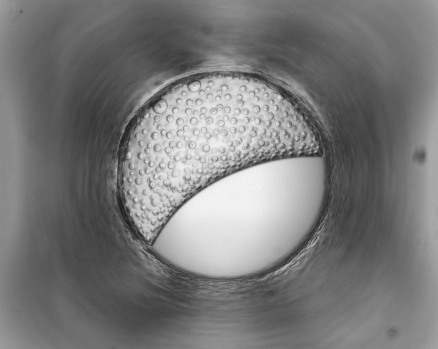 X0000099301220200805231335