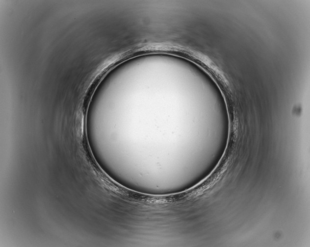 X0000099301221200805231335