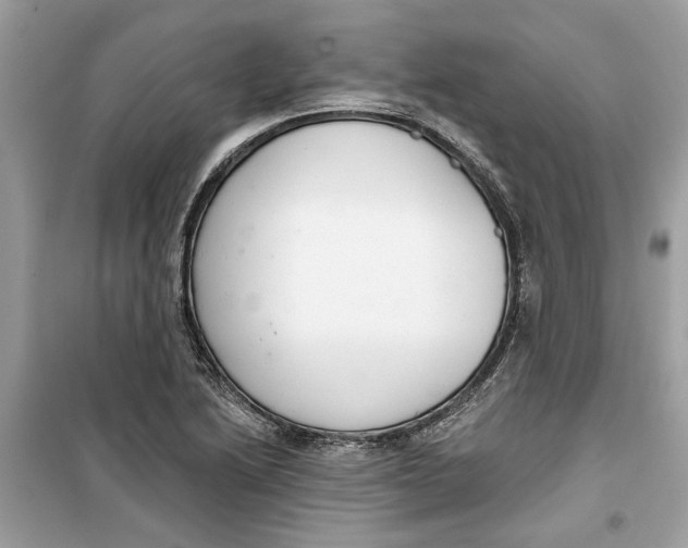 X0000099301222200805231335