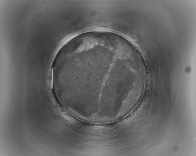 X0000099301223200805231335