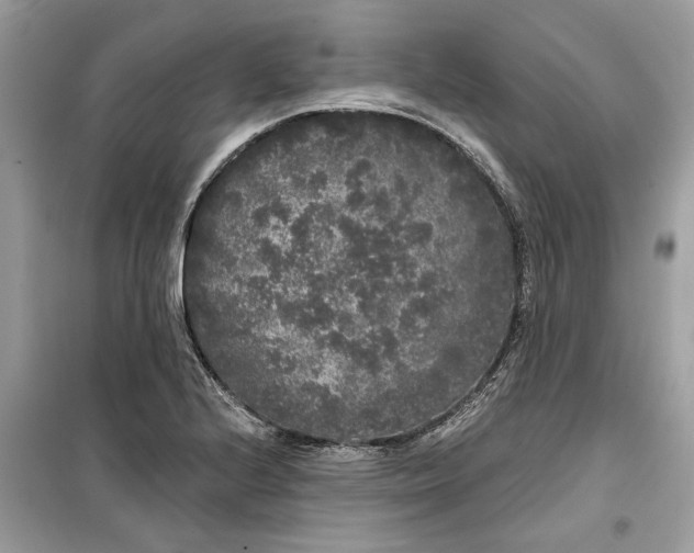 X0000099301224200805231335