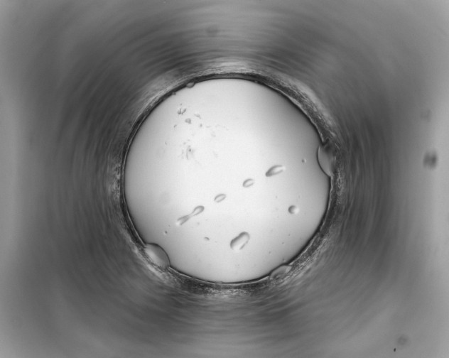 X0000099301225200805231335