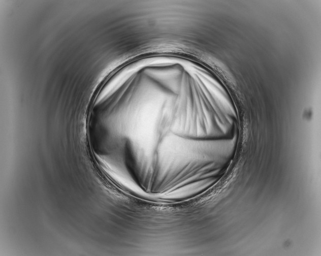 X0000099301226200805231335