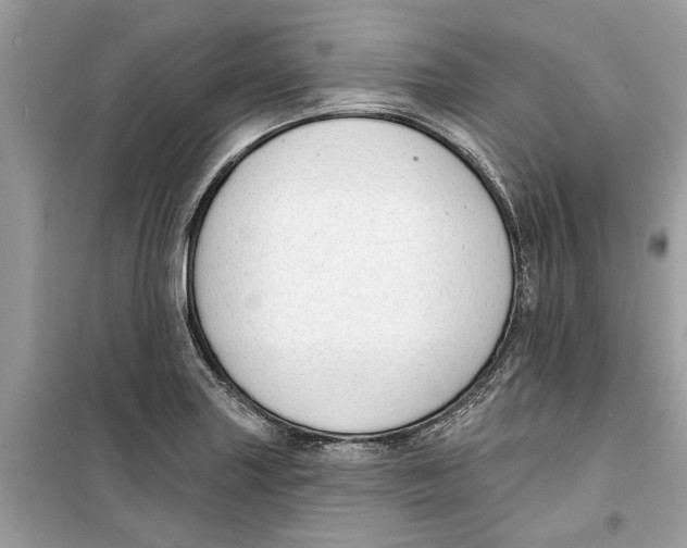 X0000099301227200805231335