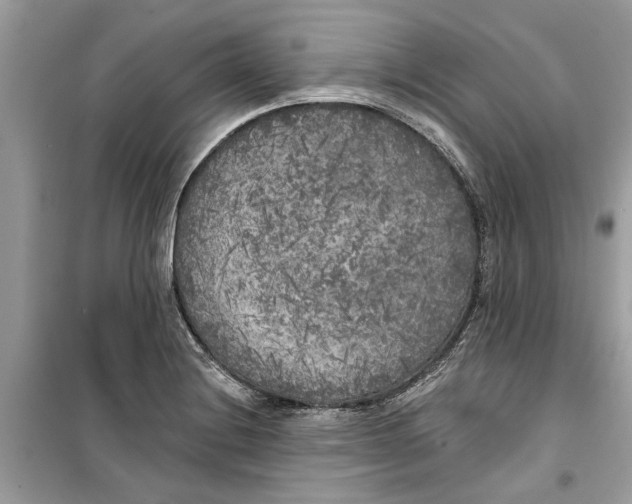 X0000099301228200805231335