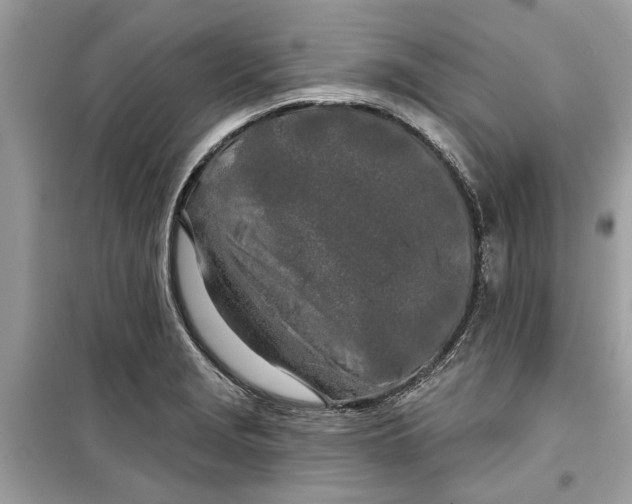 X0000099301229200805231335