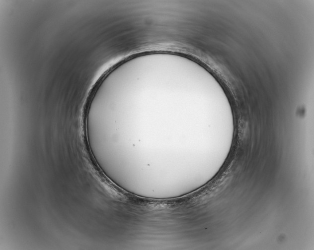 X0000099301230200805231335