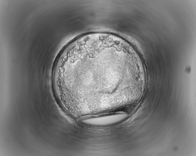 X0000099301231200805231335