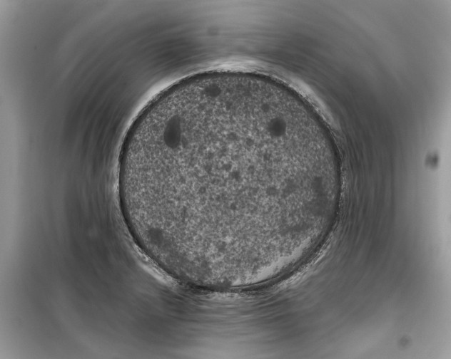 X0000099301232200805231335