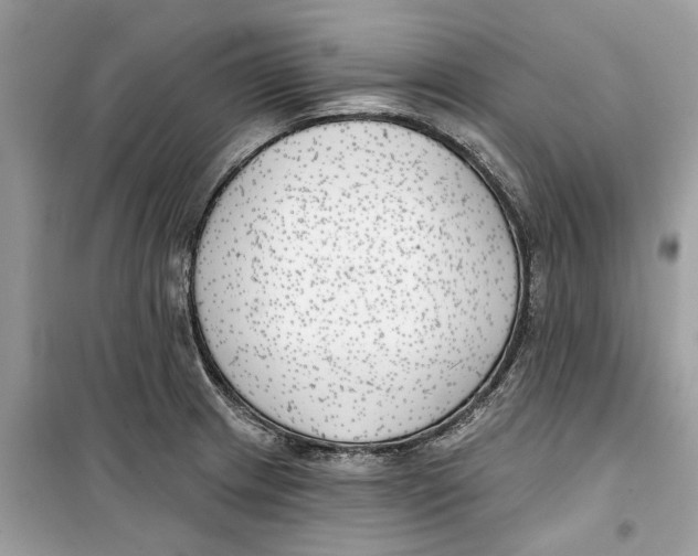 X0000099301233200805231335