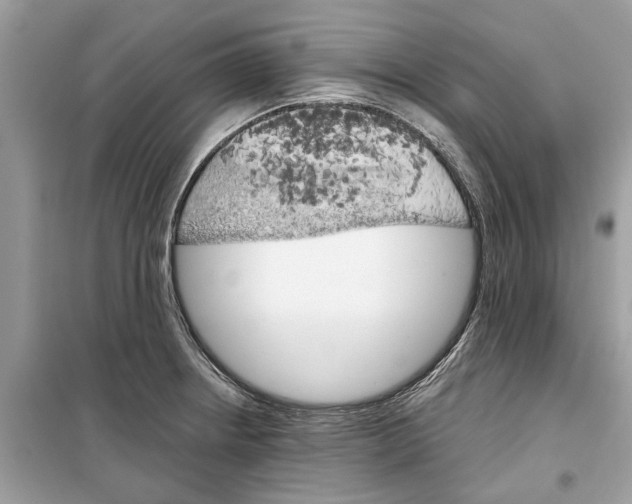 X0000099301234200805231335