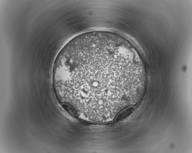 X0000099301236200805231335