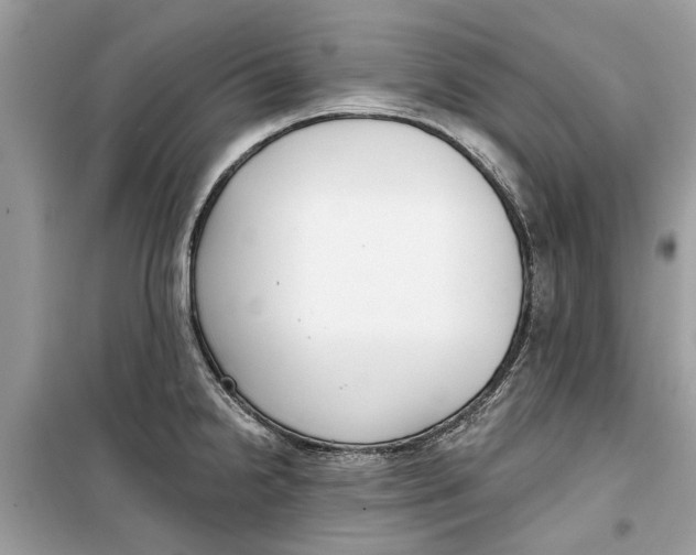 X0000099301238200805231335