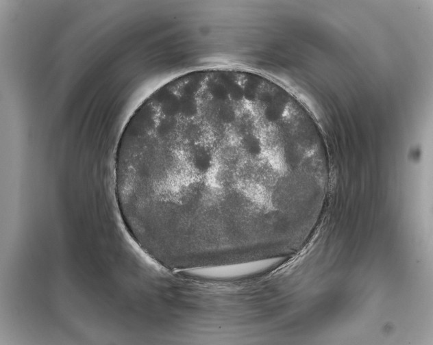 X0000099301239200805231335