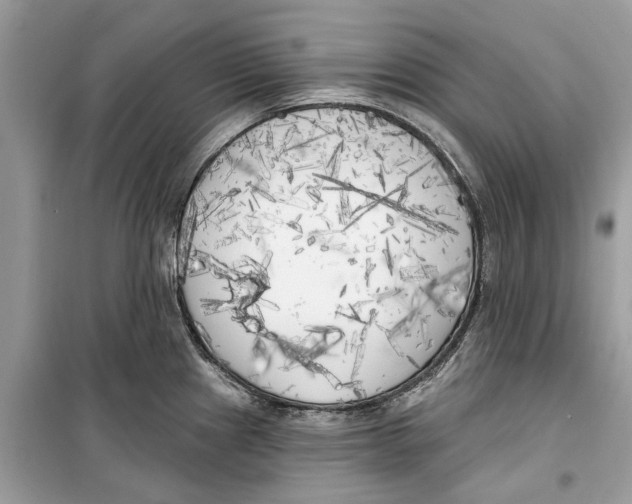 X0000099301241200805231335