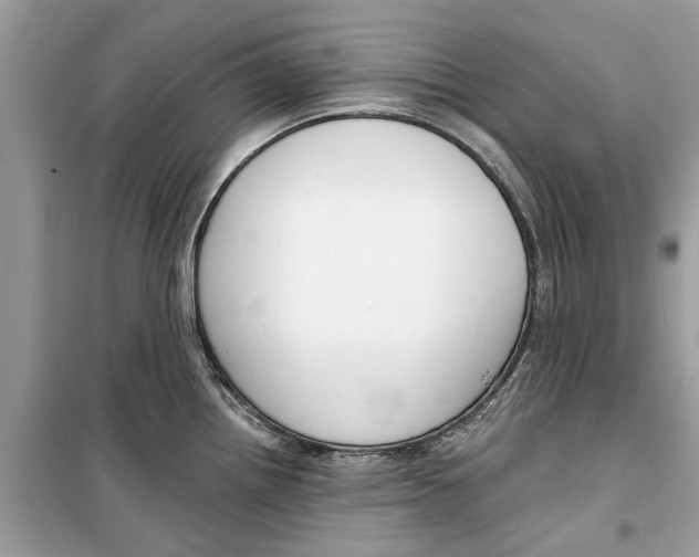 X0000099301242200805231335