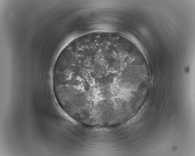 X0000099301243200805231335