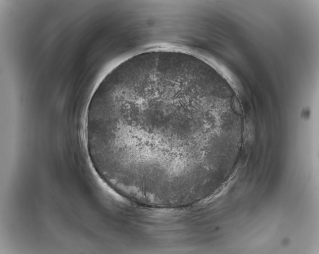 X0000099301247200805231335