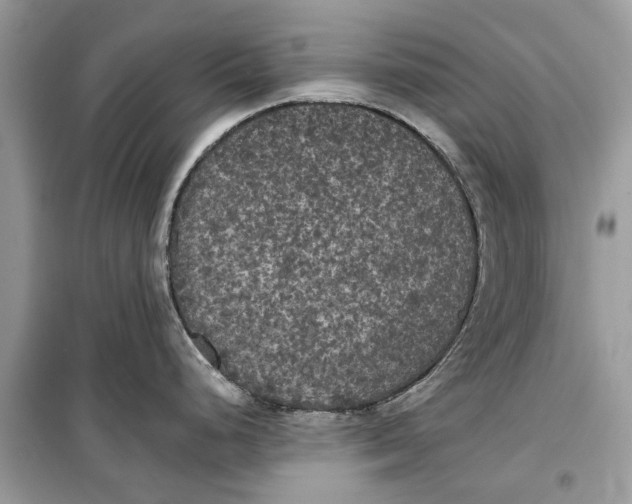 X0000099301248200805231335