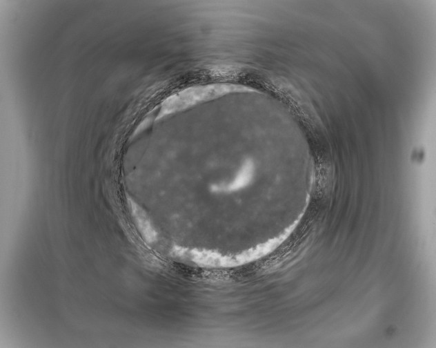 X0000099301249200805231334