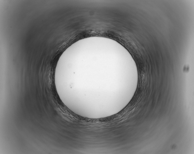 X0000099301250200805231334