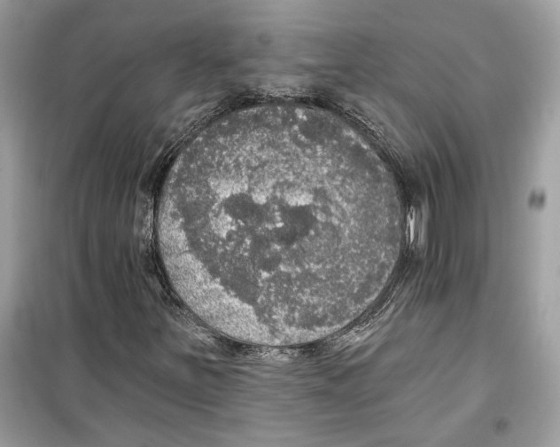 X0000099301251200805231334