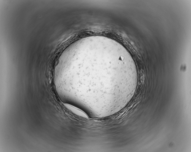 X0000099301253200805231334