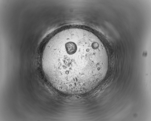 X0000099301255200805231334