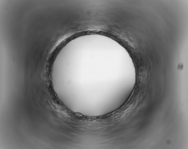 X0000099301256200805231334