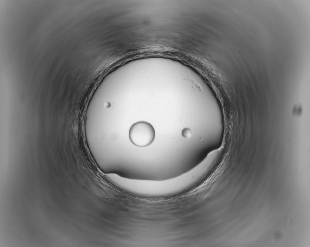 X0000099301257200805231334