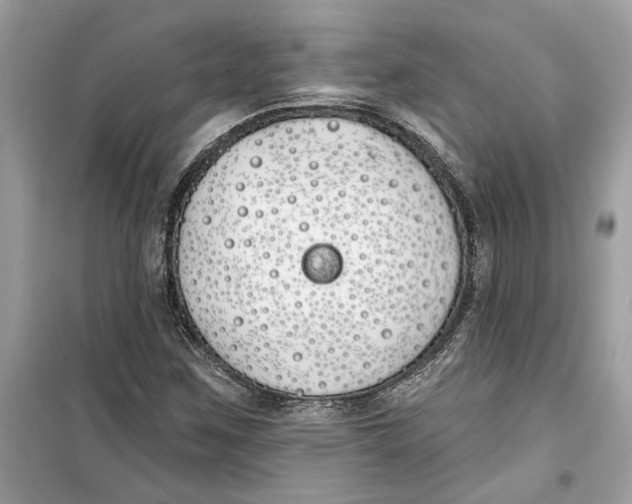 X0000099301259200805231334