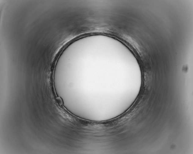 X0000099301260200805231334