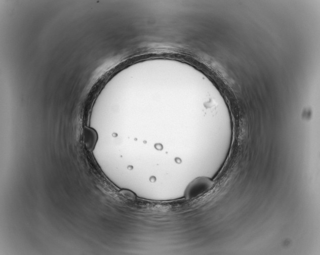 X0000099301261200805231334