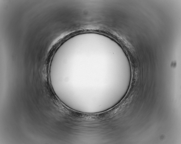 X0000099301262200805231334