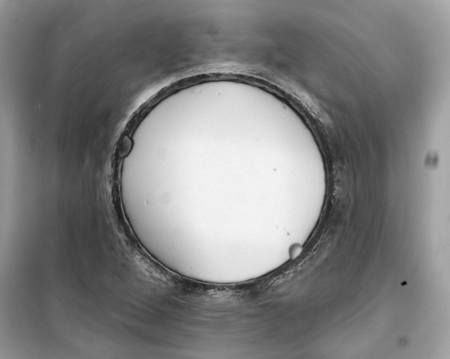 X0000099301264200805231334